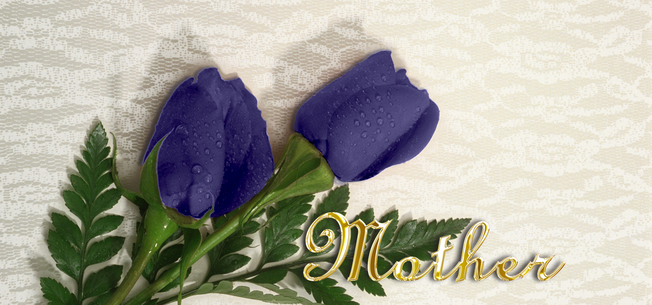 2 Roses Purple Gold Mother